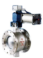 V-type flange pneumatic.jpg (13884 bytes)