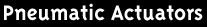 Pneumatic Actuators