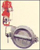 11.gif (13462 bytes)