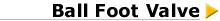 1442559name-ballfoot.gif (828 bytes)